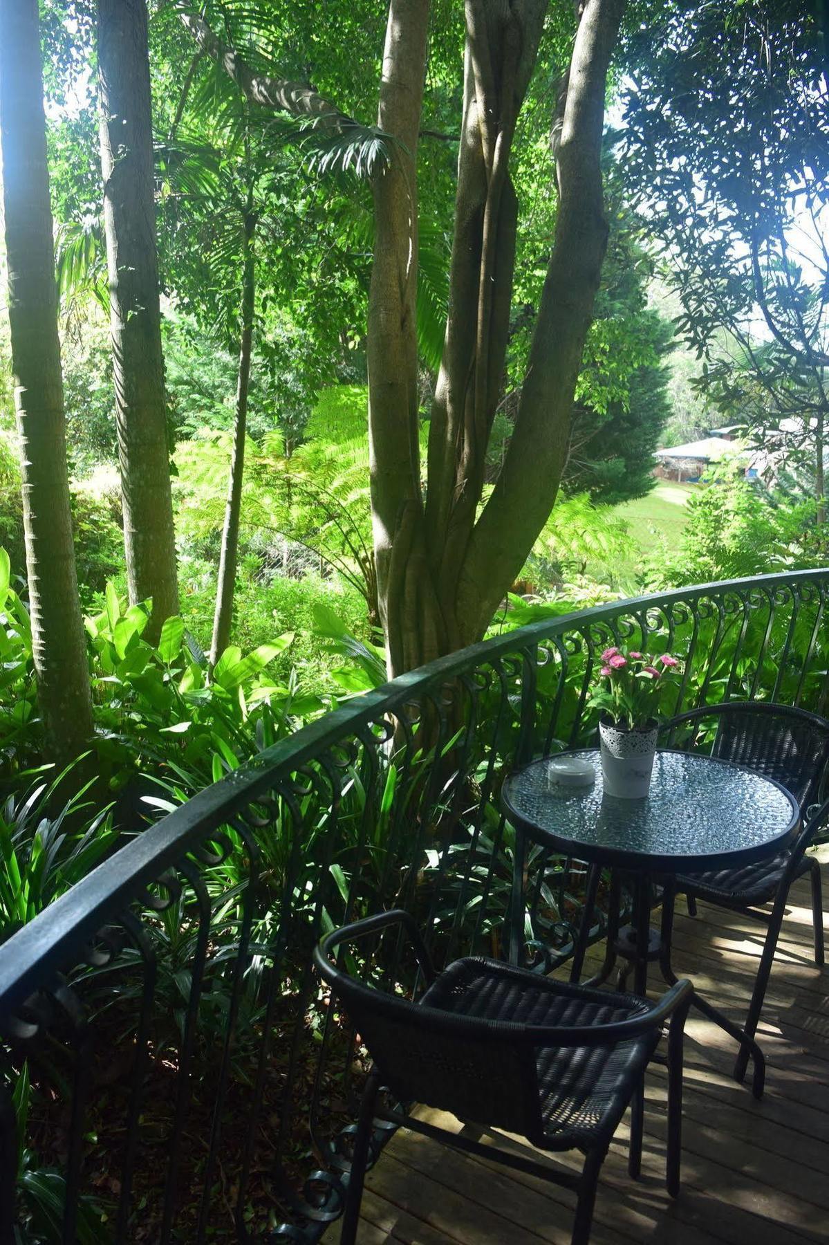 Chalet On Gallery Walk - King Bed, Spa, Fireplace, Wifi & Netflix, Linger A While Mount Tamborine Exterior photo