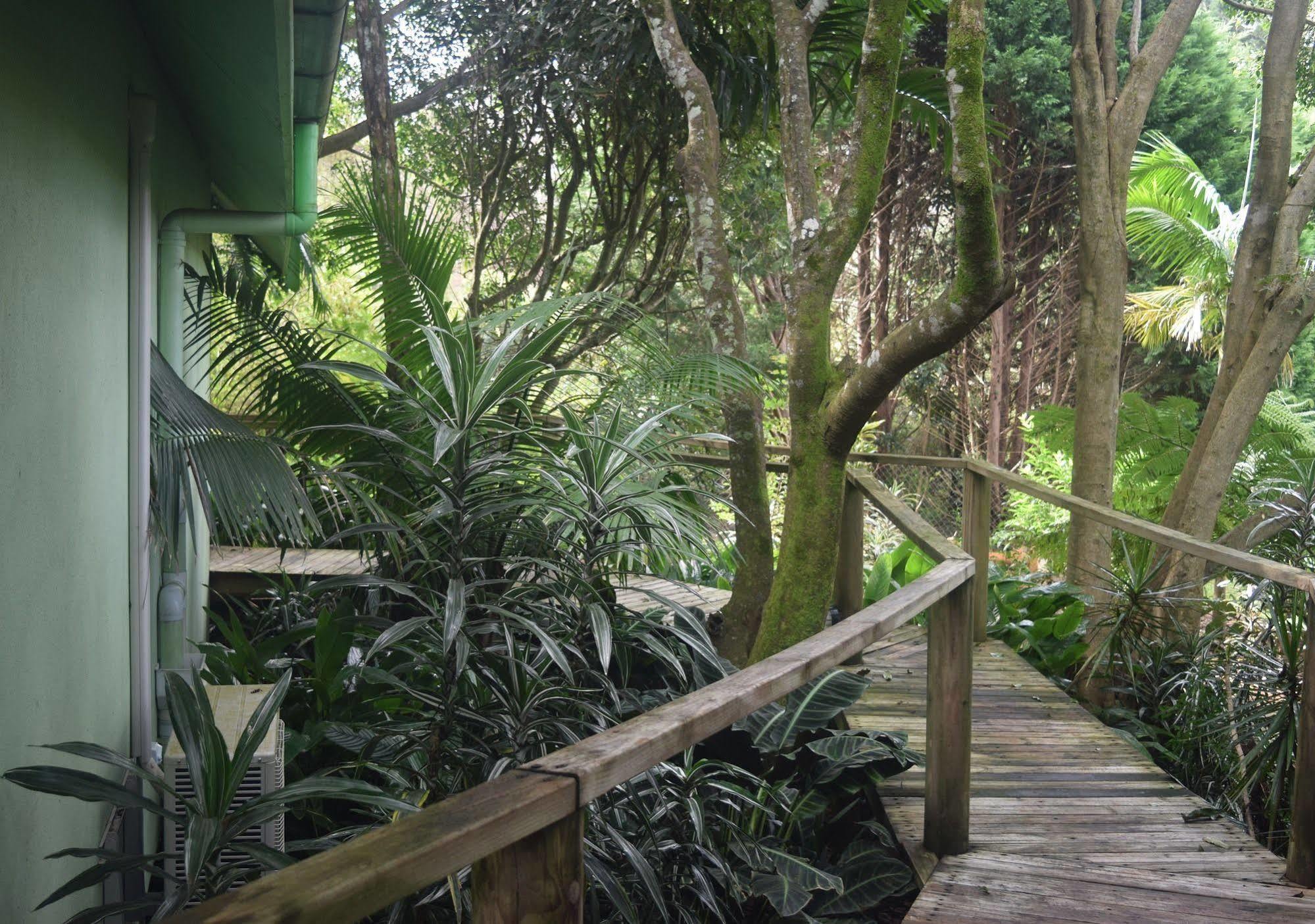 Chalet On Gallery Walk - King Bed, Spa, Fireplace, Wifi & Netflix, Linger A While Mount Tamborine Exterior photo